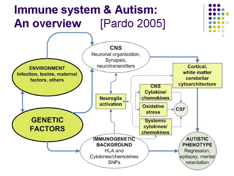Immune system & Autism: An overview      [Pardo 2005]